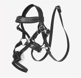 LeMieux Toy Pony Grackle Trense